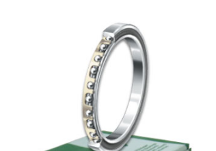 INA CSXF110 bearings